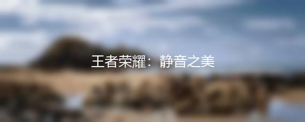 王者荣耀：静音之美