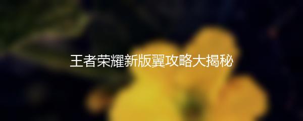 王者荣耀新版翼攻略大揭秘