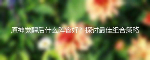 原神觉醒后什么阵容好？探讨最佳组合策略