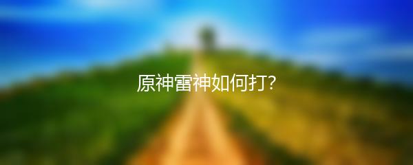 原神雷神如何打？