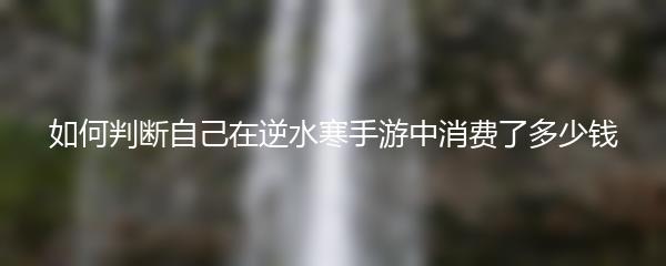 如何判断自己在逆水寒手游中消费了多少钱