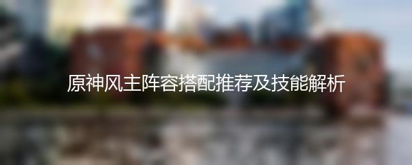 原神风主阵容搭配推荐及技能解析