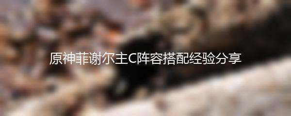 原神菲谢尔主C阵容搭配经验分享