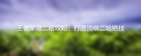 王者荣耀二哈攻略：打造顶级二哈绝技