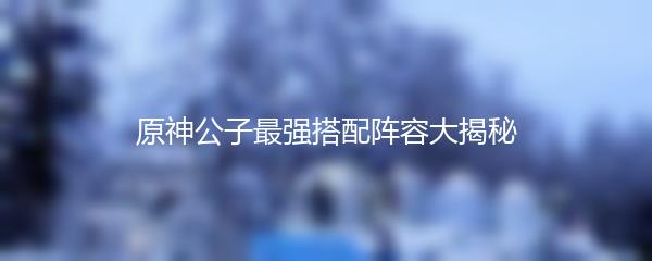 原神公子最强搭配阵容大揭秘