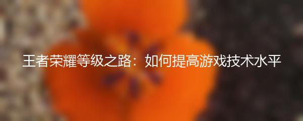 王者荣耀等级之路：如何提高游戏技术水平