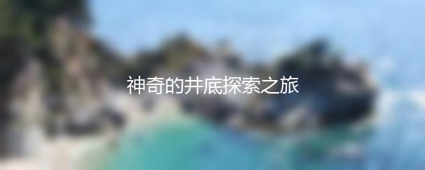 神奇的井底探索之旅