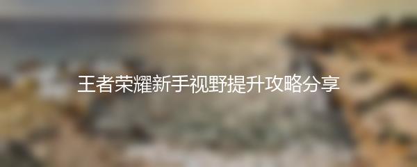 王者荣耀新手视野提升攻略分享