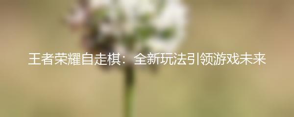 王者荣耀自走棋：全新玩法引领游戏未来