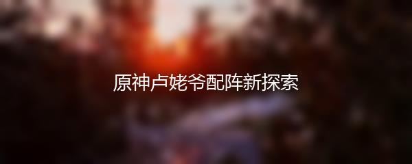 原神卢姥爷配阵新探索