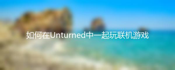如何在Unturned中一起玩联机游戏
