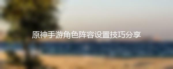 原神手游角色阵容设置技巧分享