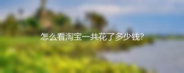 怎么看淘宝一共花了多少钱？