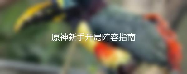 原神新手开局阵容指南