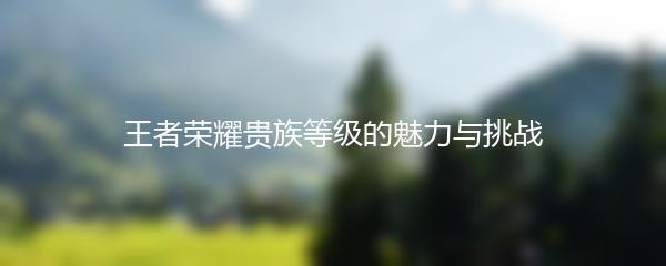 王者荣耀贵族等级的魅力与挑战