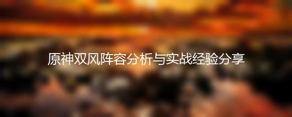 原神双风阵容分析与实战经验分享