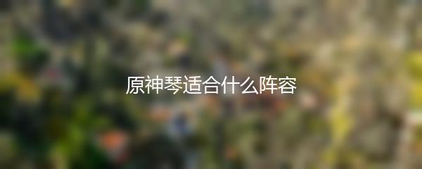 原神琴适合什么阵容