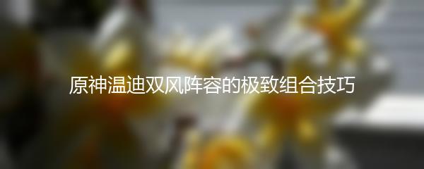 原神温迪双风阵容的极致组合技巧