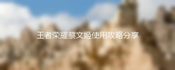 王者荣耀蔡文姬使用攻略分享