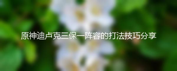 原神迪卢克三保一阵容的打法技巧分享