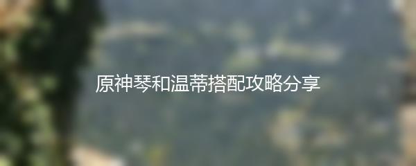 原神琴和温蒂搭配攻略分享