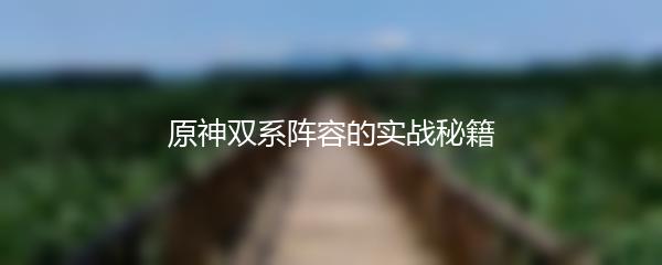 原神双系阵容的实战秘籍