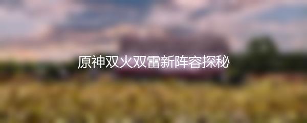 原神双火双雷新阵容探秘