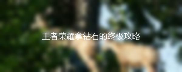 王者荣耀拿钻石的终极攻略