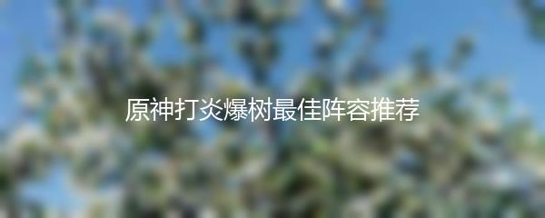 原神打炎爆树最佳阵容推荐