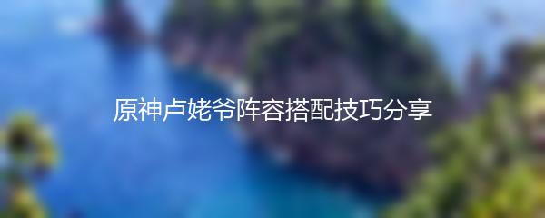 原神卢姥爷阵容搭配技巧分享
