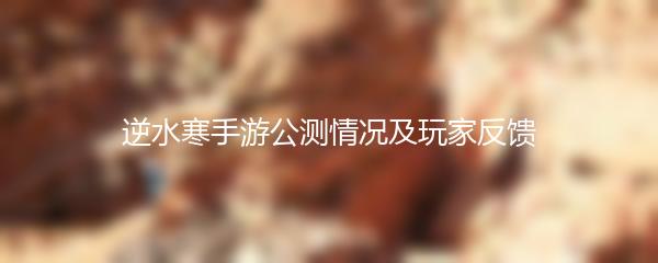 逆水寒手游公测情况及玩家反馈