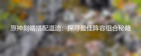 原神刻晴搭配温迪：探寻最佳阵容组合秘籍
