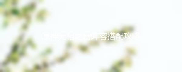 原神无相之雷阵容搭配攻略