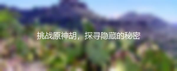 挑战原神胡，探寻隐藏的秘密