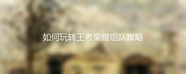 如何玩转王者荣耀组队攻略