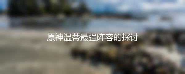 原神温蒂最强阵容的探讨