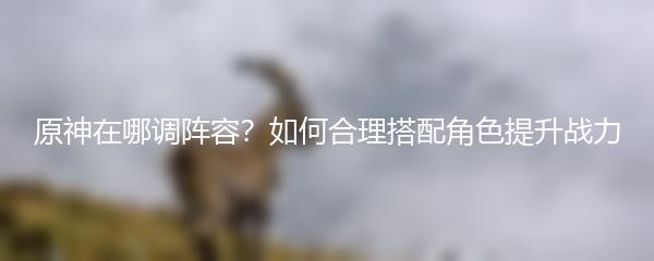 原神在哪调阵容？如何合理搭配角色提升战力