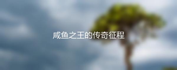 咸鱼之王的传奇征程