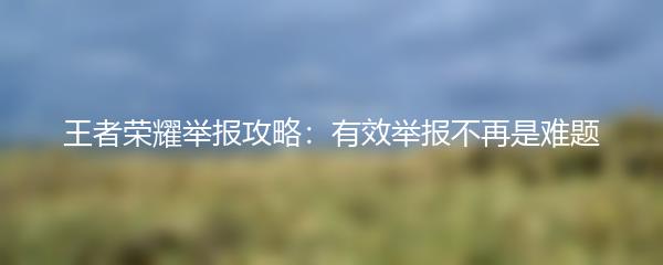 王者荣耀举报攻略：有效举报不再是难题