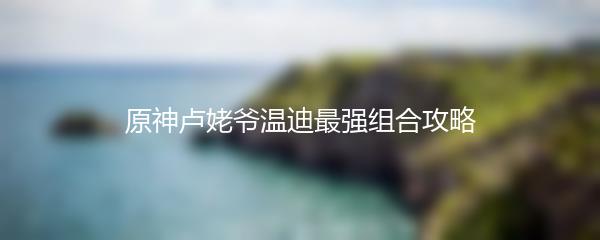 原神卢姥爷温迪最强组合攻略
