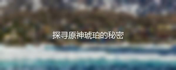 探寻原神琥珀的秘密