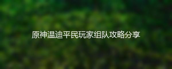 原神温迪平民玩家组队攻略分享