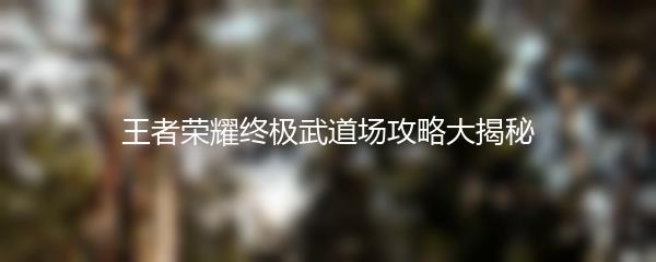 王者荣耀终极武道场攻略大揭秘