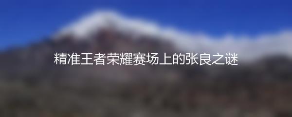 精准王者荣耀赛场上的张良之谜
