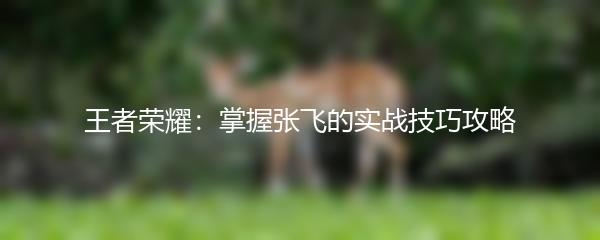 王者荣耀：掌握张飞的实战技巧攻略