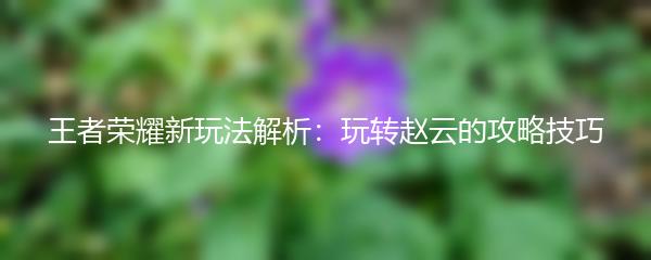 王者荣耀新玩法解析：玩转赵云的攻略技巧