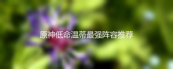 原神低命温蒂最强阵容推荐