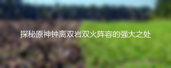 探秘原神钟离双岩双火阵容的强大之处