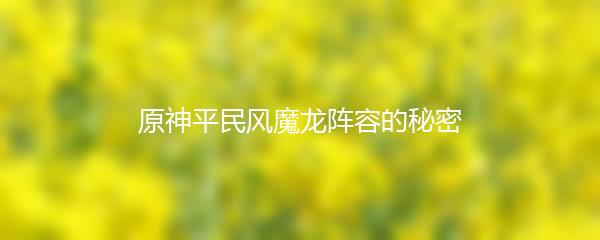 原神平民风魔龙阵容的秘密