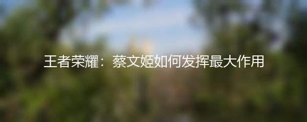 王者荣耀：蔡文姬如何发挥最大作用